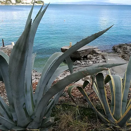 Bella Vista House Otel *