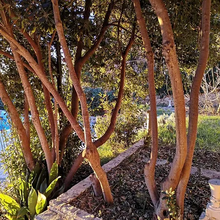 Szálloda Bella Vista House