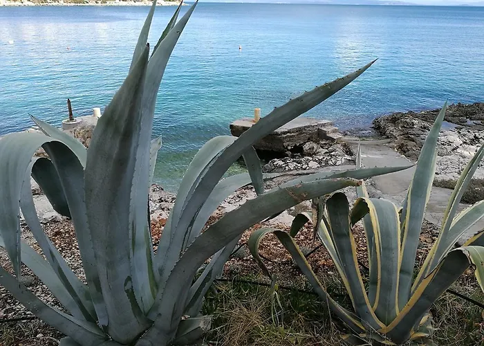 Bella Vista House Otel *